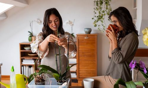 Sustainable Living, ilustrasi dua orang wanita sedang mendekorasi rumah dengan tanaman anggrek.