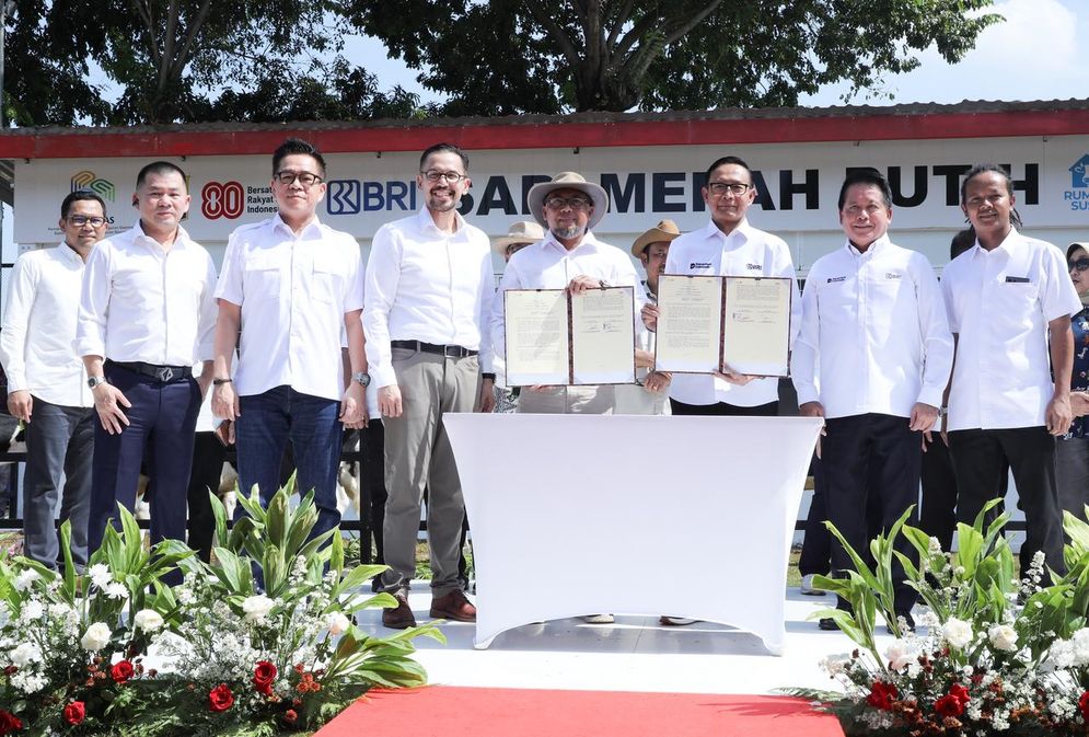 Wujudkan Ketahanan Pangan Nasional, BRI Hadirkan Dukungan untuk Program Sapi Merah Putih