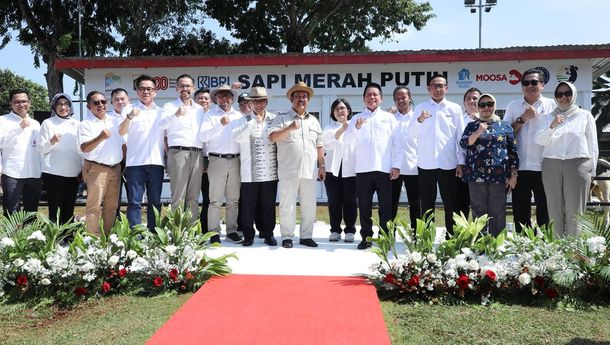 BRI Dukung Program Sapi Merah Putih, Pastikan Pangan Nasional Mandiri