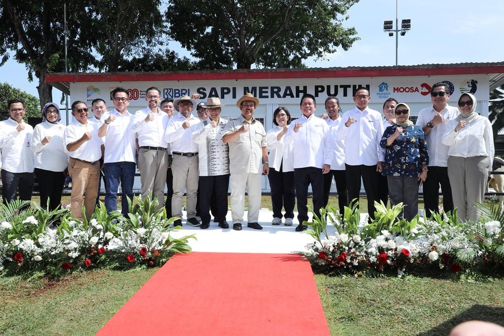 Sapi Merah Putih Jadi Andalan, BRI Dorong Kemandirian Pangan