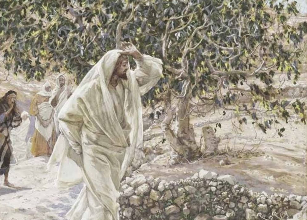 Yesus dan Pohon Ara2.jpg