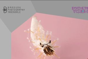 WhatsApp Image 2025-09-13 at 11.15.02 AM.jpeg