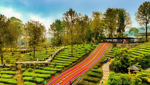 Agrowisata Gunung Mas Bersiap Jadi Destinasi Berkelas Dunia