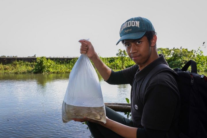 Pemulihan Populasi Wader Pari, Peluang Peningkatan Ketahanan Pangan