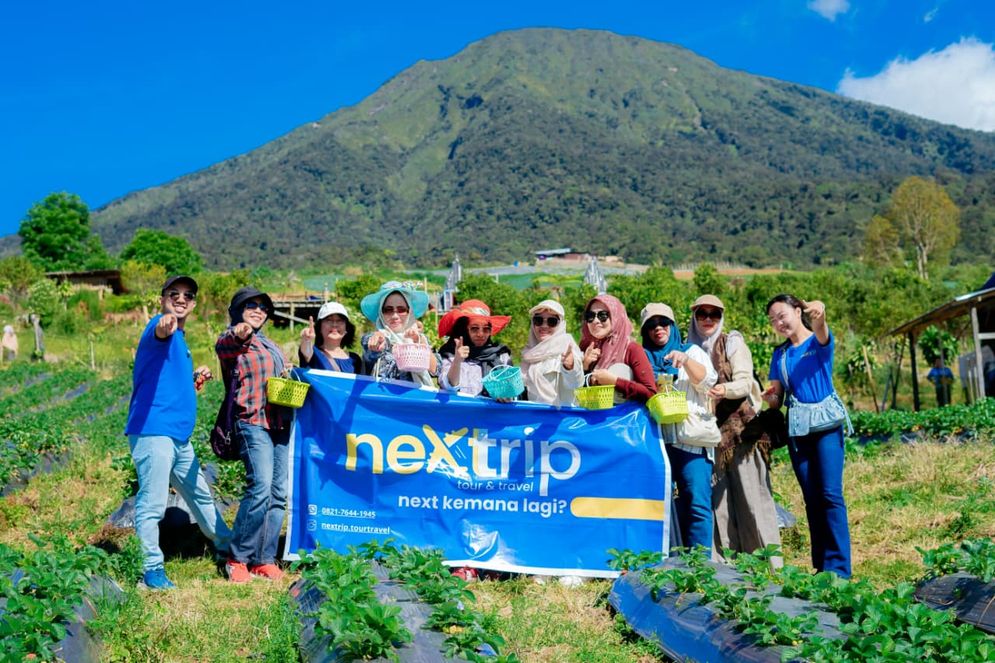 Ingin Menikmati Keindahan Alam, dengan Fasilitas Ternyaman di Pagar Alam, Next Trip Tour Travel Solusinya, Simak Yuk!