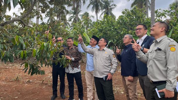 PTPN I Regional 7 Siap Laksanakan Program Hilirisasi Perkebunan