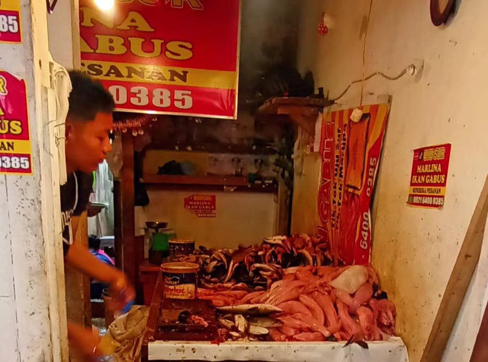 Pedagang sedang menyusun daging ikan gabus