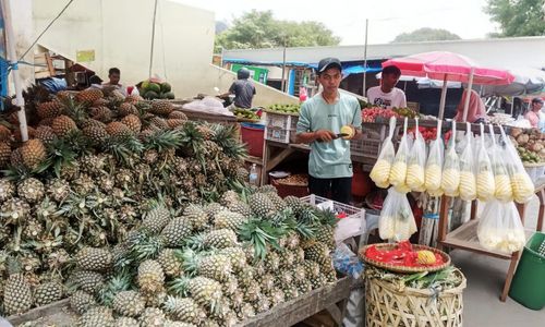 Pedagang Nanas Sukses Tingkatkan Produksi Olahan Lewat KUR BRI