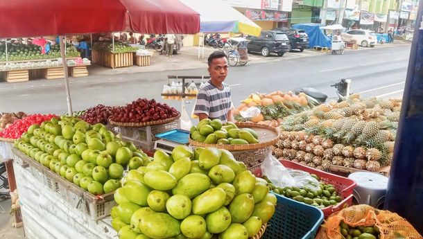 KUR BRI Jadi Modal Penting Pedagang Nanas Bangun Usaha Olahan