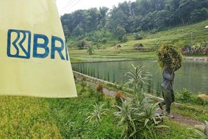 Hari Tani Nasional, BRI Mantapkan Dukungan lewat Akses Pembiayaan dan Pemberdayaan Petani