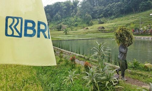 Hari Tani Nasional, BRI Mantapkan Dukungan lewat Akses Pembiayaan dan Pemberdayaan Petani