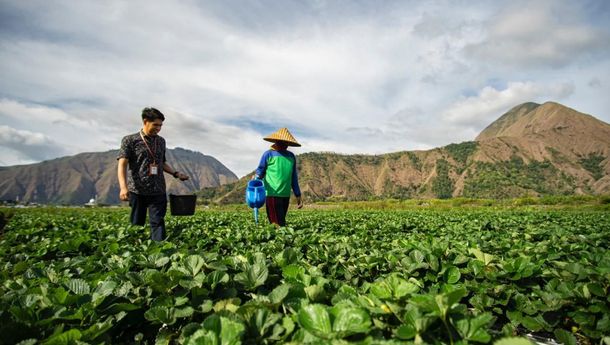 BRI Nyatakan Dukungan Nyata bagi Petani di Hari Tani Nasional, Mudahkan Akses Pembiayaan