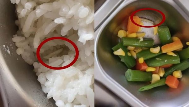 MBG Berulat: Skandal atau Bukan Skandal?