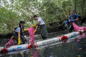 Peringati Hari Sungai Sedunia, BRI Peduli Ajak Anak Muda dalam Jaga Ekosistem