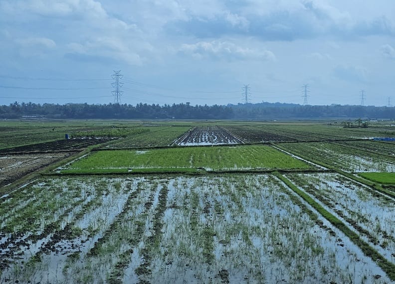 Percepatan cetak sawah rakyat menjadi kunci Kalimantan Timur mengejar target swasembada pangan di tengah keterbatasan lahan pertanian.