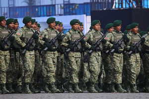 tni green sage.jpg