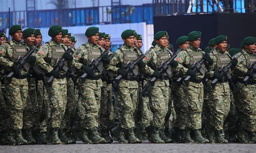 tni green sage.jpg
