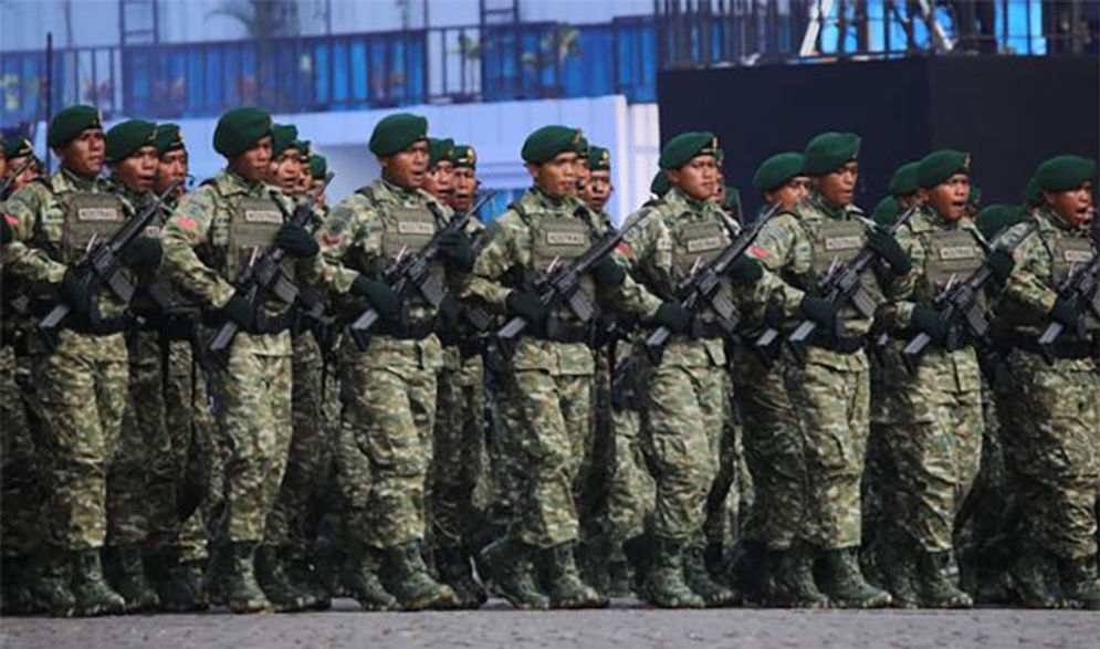 tni green sage.jpg