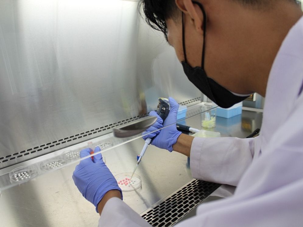 06102025-UGM dana penelitian.jpg