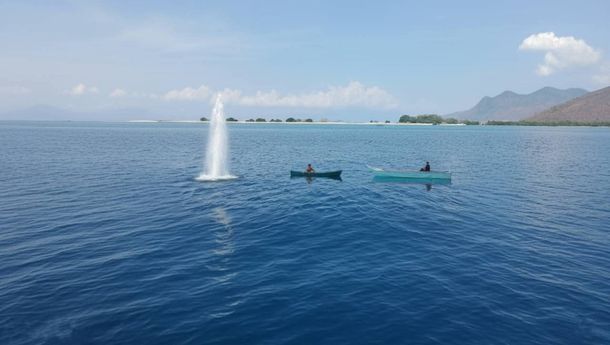 Lagi-lagi Bom Ikan Guncang Perairan Pangabatang, Nelayan Khawatir Laut Maumere Kian Rusak
