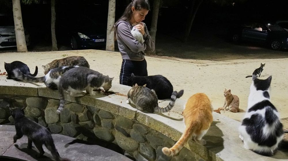 Seorang wanita menggendong kucing di sebuah taman di kawasan Strovolos, ibu kota Nicosia, Siprus.