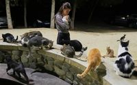Seorang wanita menggendong kucing di sebuah taman di kawasan Strovolos, ibu kota Nicosia, Siprus.
