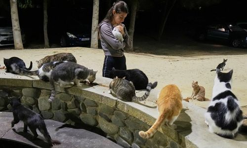 Seorang wanita menggendong kucing di sebuah taman di kawasan Strovolos, ibu kota Nicosia, Siprus.