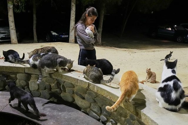 Seorang wanita menggendong kucing di sebuah taman di kawasan Strovolos, ibu kota Nicosia, Siprus.