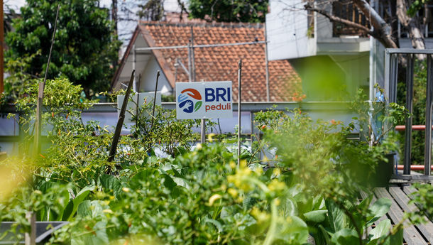 Kegiatan BRInita Panen Raya, BRI Peduli Ajak Warga Hasilkan Produk Pertanian Berkualitas
