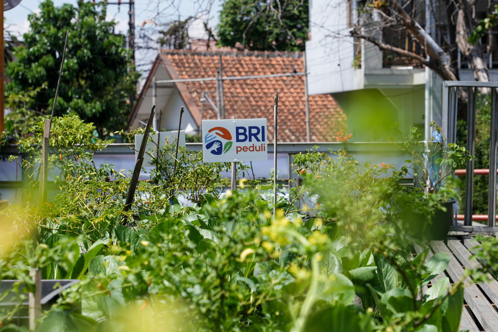 Wujudkan Ketahanan Pangan Nasional, BRI Peduli Ajak Warga Manfaatkan Lahan Sempit Lewat Program BRInita
