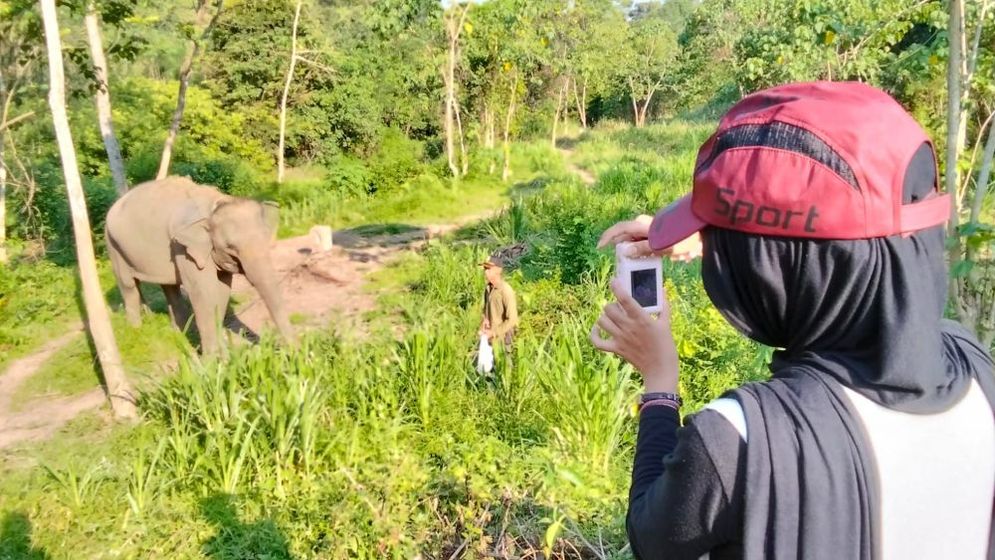 Pengunjung memotret Linda,  Gajah Sumatera yang dihadirkan pada Sabtu (18/10)