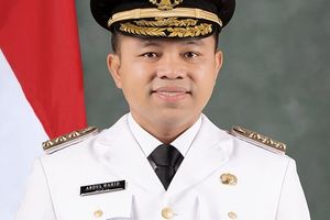 Gubernur Riau Abdul Wahid.
