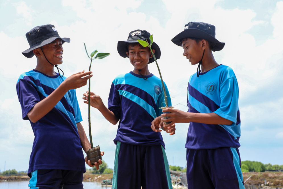 BRI Ajak Generasi Muda Jaga Lingkungan dengan Tanam Mangrove dan Kelola Limbah Plastik