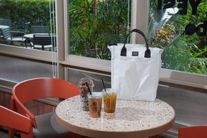 WhatsApp Image 2025-11-06 at 13.09.33.jpeg