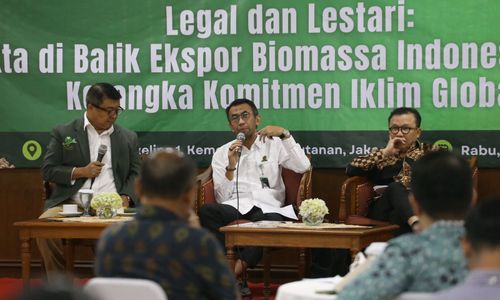 Dengan alur kerja SVLK dan HTI di Gorontalo sebagai solusi produksi biomassa tanpa deforestasi, disertai data ekspor wood pellet 2024.