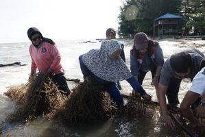 WhatsApp Image 2025-11-07 at 13.46.14.jpeg