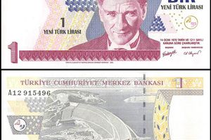 turkey-1-lira-banknote-2005-p-216-unc.jpg