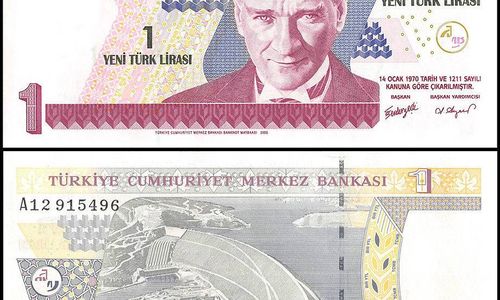 turkey-1-lira-banknote-2005-p-216-unc.jpg