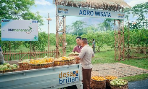 Dua warga sedang bertransaksi buah-buahan di area Agro Wisata Desa Brilian dengan papan program BRI Menanam terlihat di latar belakang.