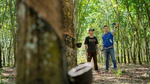 KUR BRI Bukan Sekadar Pembiayaan, tapi Dorongan Nyata bagi Pertumbuhan UMKM