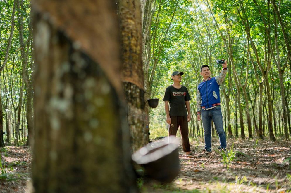 Program KUR dari BRI Sukses Dongkrak Omzet UMKM ke Level Baru