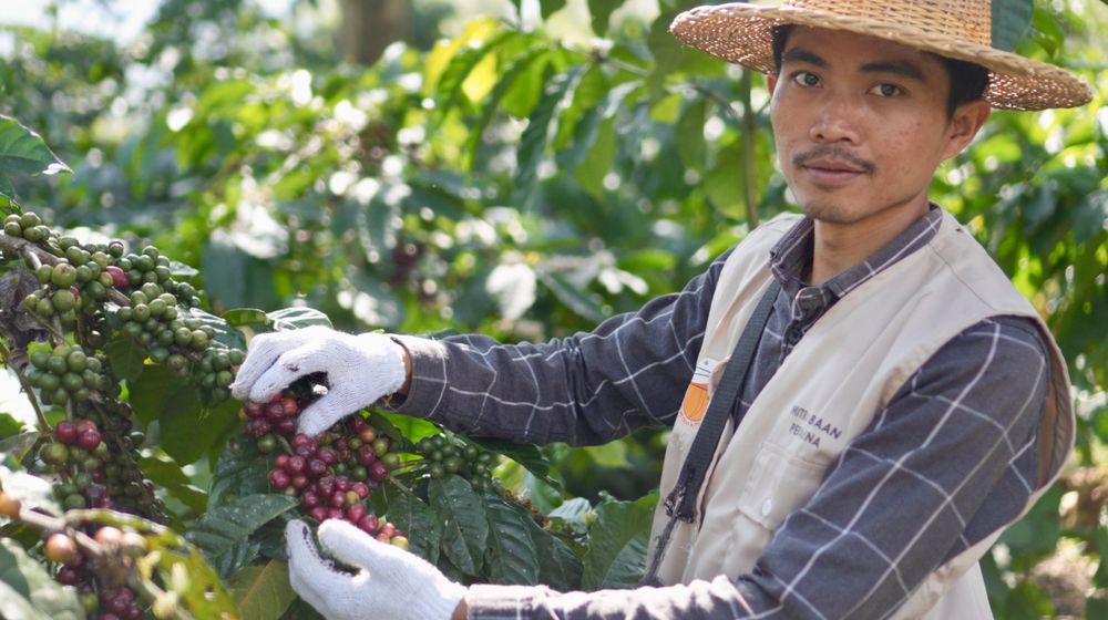 WhatsApp Image 2025-11-14 at 11.48.11.jpeg