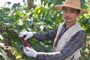 WhatsApp Image 2025-11-14 at 11.48.11.jpeg