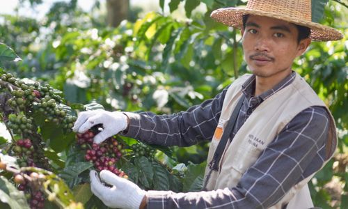 WhatsApp Image 2025-11-14 at 11.48.11.jpeg