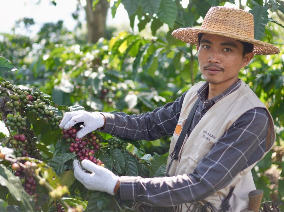 WhatsApp Image 2025-11-14 at 11.48.11.jpeg