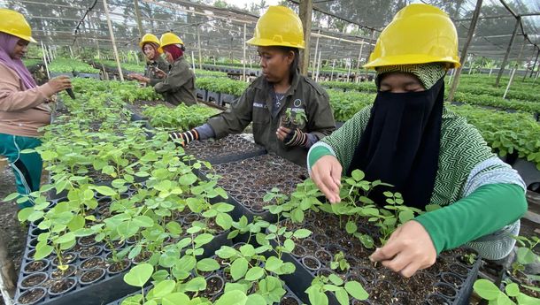 Makin Maju dan Bebas Deforestasi, Industri Biomassa di Gorontalo Serap Ribuan Pekerja Lokal