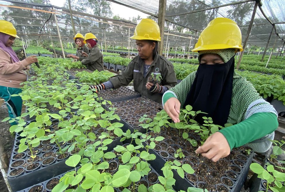 Makin Maju dan Bebas Deforestasi, Industri Biomassa di Gorontalo Serap Ribuan Pekerja Lokal