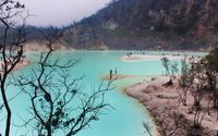 Wisata Kawah Putih, Bandung.