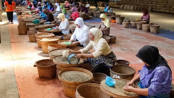 Perkuat Komoditas Kopi, PTPN I Konversi Dua Pabrik Teh