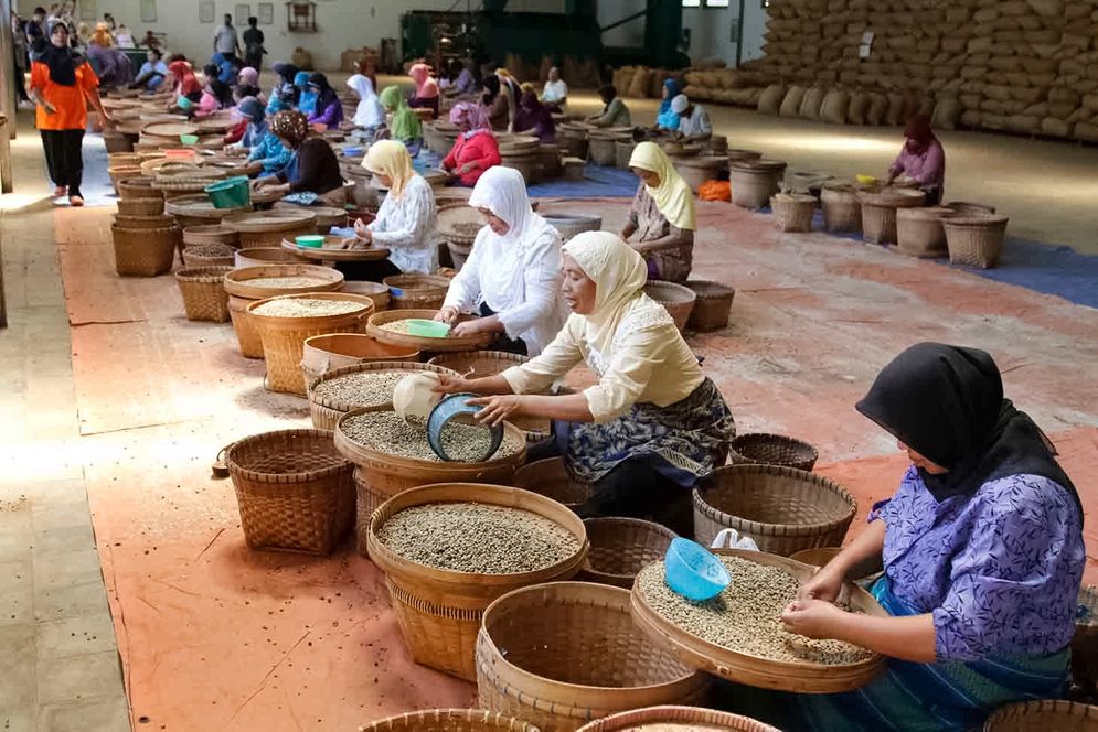 PTPN I mengambil inisiatif memperbesar komoditas kopi untuk memperkuat diversifikasi komoditas.